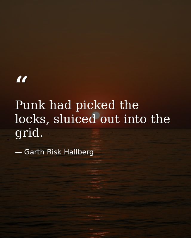 Punk had picked the locks, sluiced out into the grid. — Garth Risk Hallberg