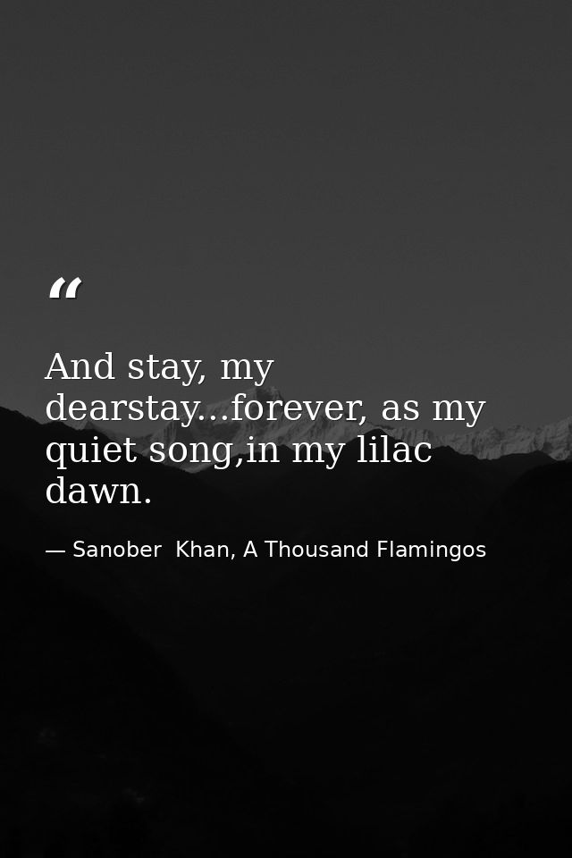 And stay, my dearstay...forever, as my quiet song,in my lilac dawn. — Sanober  Khan, A Thousand Flamingos