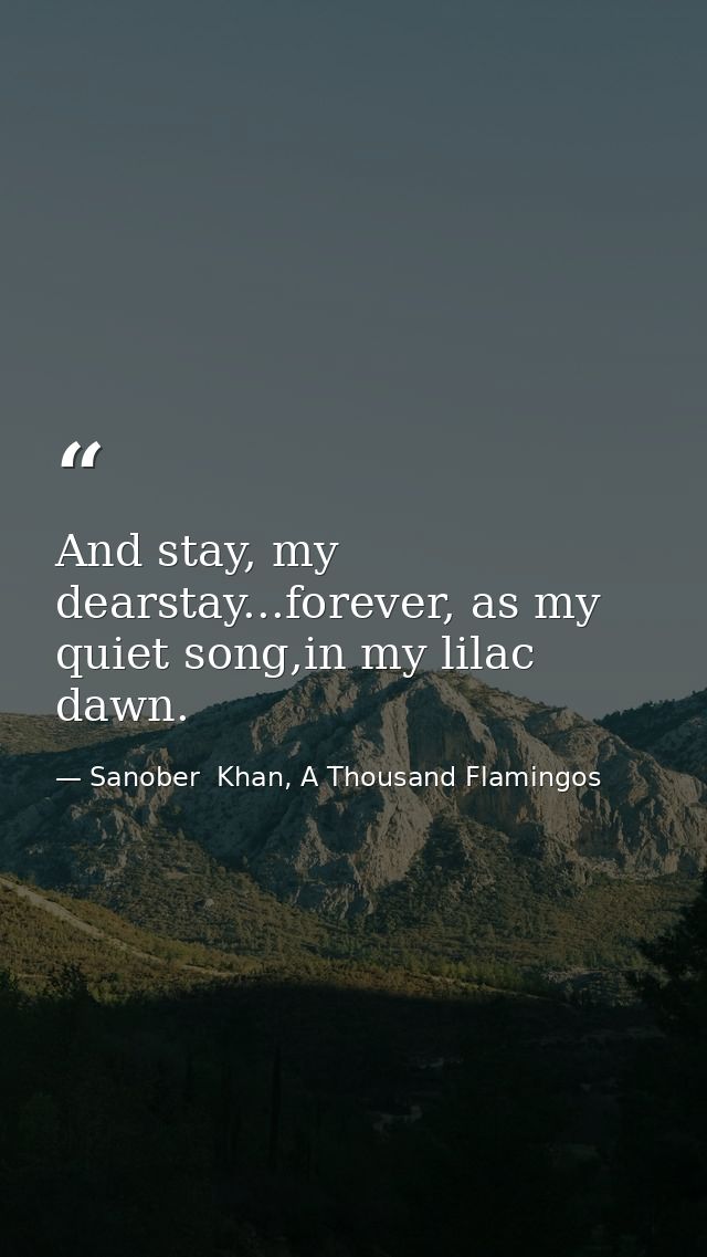 And stay, my dearstay...forever, as my quiet song,in my lilac dawn. — Sanober  Khan, A Thousand Flamingos