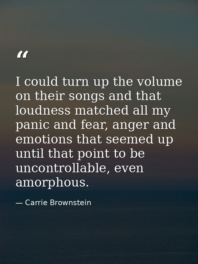 I could turn up the volume on their songs and that loudness matched all my panic and fear, anger and emotions that seeme — Carrie Brownstein