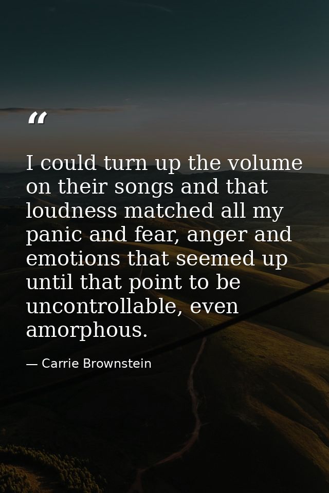 I could turn up the volume on their songs and that loudness matched all my panic and fear, anger and emotions that seeme — Carrie Brownstein