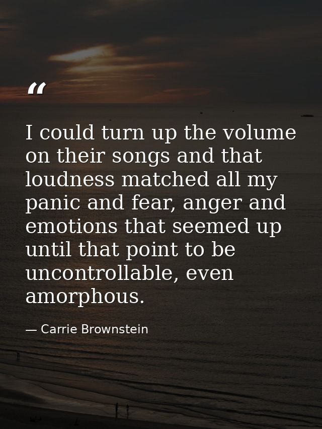 I could turn up the volume on their songs and that loudness matched all my panic and fear, anger and emotions that seeme — Carrie Brownstein