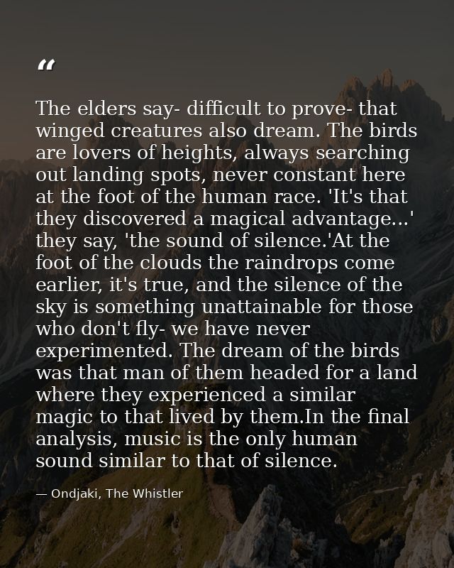 The elders say- difficult to prove- that winged creatures also dream. The birds are lovers of heights, always searching  — Ondjaki, The Whistler