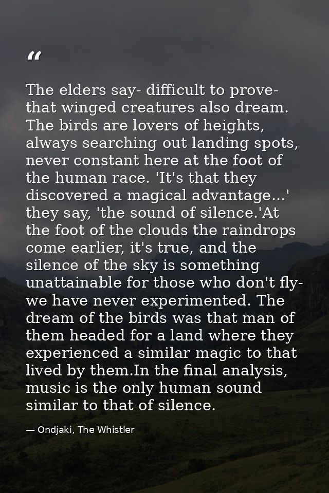 The elders say- difficult to prove- that winged creatures also dream. The birds are lovers of heights, always searching  — Ondjaki, The Whistler