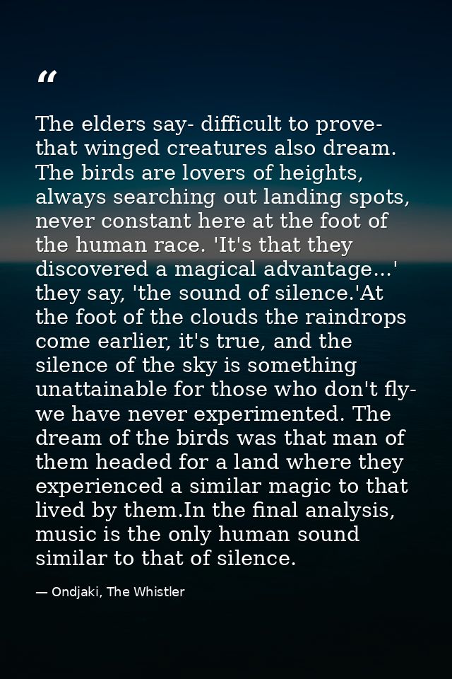 The elders say- difficult to prove- that winged creatures also dream. The birds are lovers of heights, always searching  — Ondjaki, The Whistler