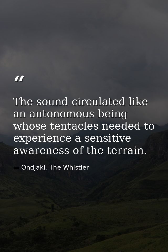 The sound circulated like an autonomous being whose tentacles needed to experience a sensitive awareness of the terrain. — Ondjaki, The Whistler