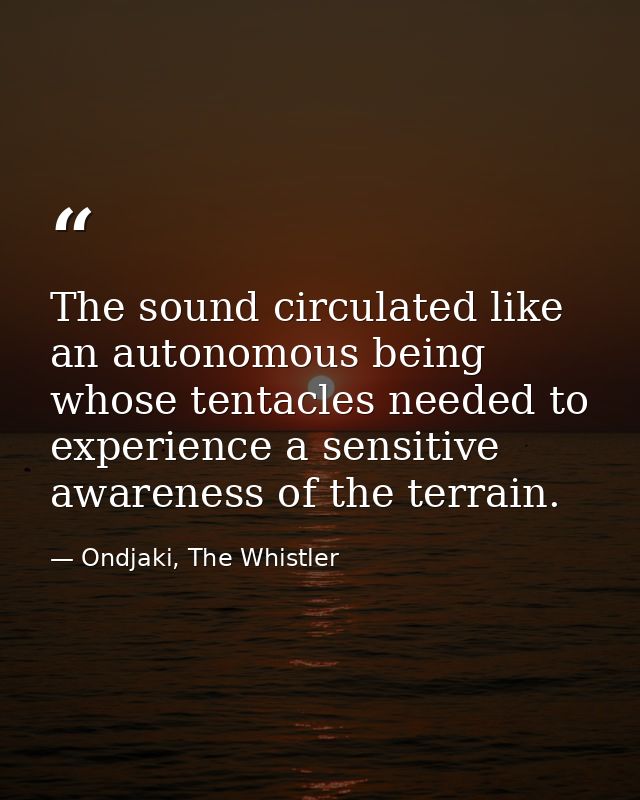The sound circulated like an autonomous being whose tentacles needed to experience a sensitive awareness of the terrain. — Ondjaki, The Whistler