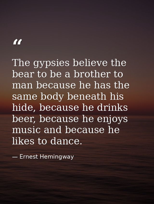 The gypsies believe the bear to be a brother to man because he has the same body beneath his hide, because he drinks bee — Ernest Hemingway