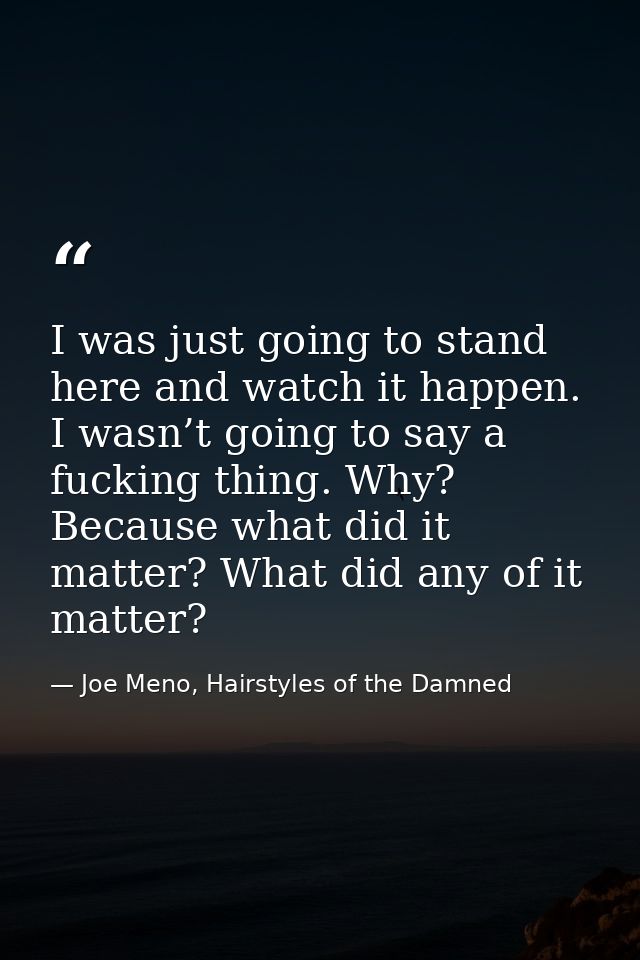 I was just going to stand here and watch it happen. I wasn’t going to say a fucking thing. Why? Because what did it matt — Joe Meno, Hairstyles of the Damned