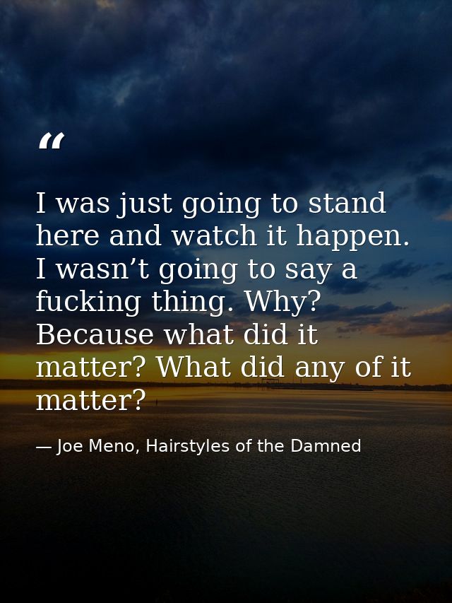 I was just going to stand here and watch it happen. I wasn’t going to say a fucking thing. Why? Because what did it matt — Joe Meno, Hairstyles of the Damned