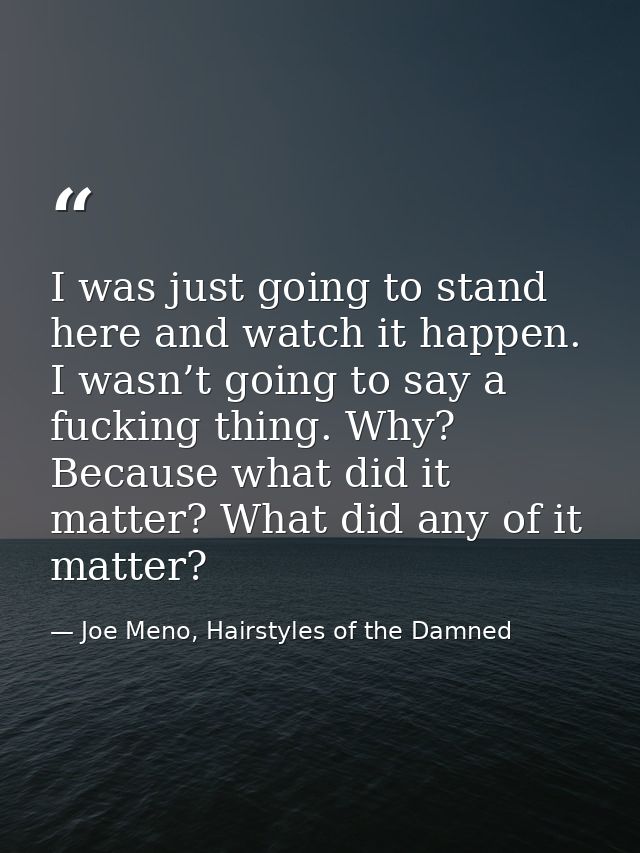 I was just going to stand here and watch it happen. I wasn’t going to say a fucking thing. Why? Because what did it matt — Joe Meno, Hairstyles of the Damned