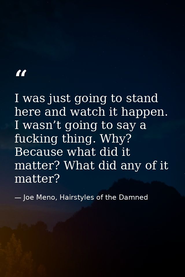 I was just going to stand here and watch it happen. I wasn’t going to say a fucking thing. Why? Because what did it matt — Joe Meno, Hairstyles of the Damned