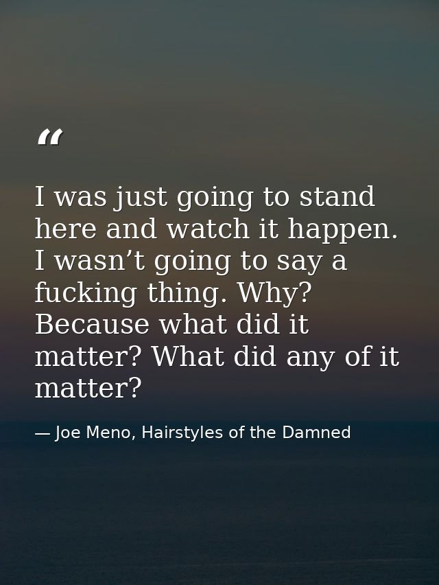 I was just going to stand here and watch it happen. I wasn’t going to say a fucking thing. Why? Because what did it matt — Joe Meno, Hairstyles of the Damned