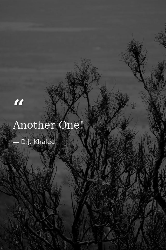 Another One! — D.J. Khaled