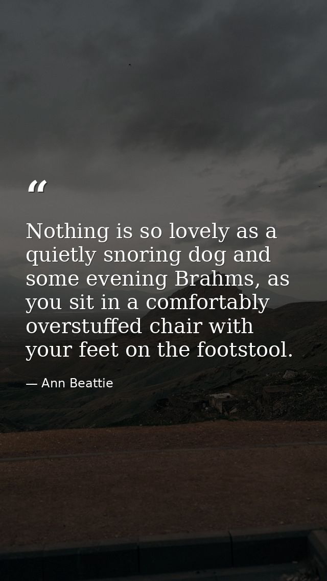Nothing is so lovely as a quietly snoring dog and some evening Brahms, as you sit in a comfortably overstuffed chair wit — Ann Beattie