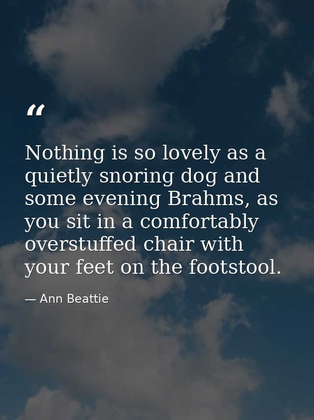 Nothing is so lovely as a quietly snoring dog and some evening Brahms, as you sit in a comfortably overstuffed chair wit — Ann Beattie