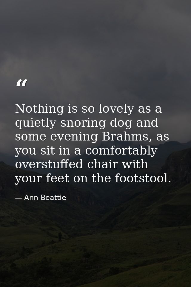 Nothing is so lovely as a quietly snoring dog and some evening Brahms, as you sit in a comfortably overstuffed chair wit — Ann Beattie