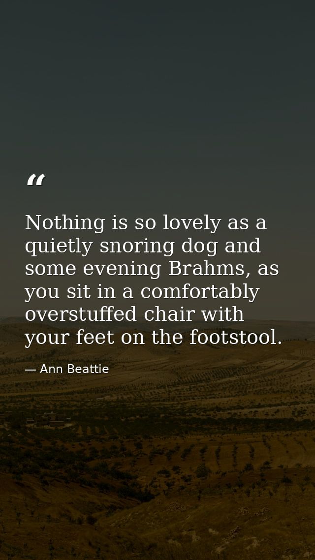 Nothing is so lovely as a quietly snoring dog and some evening Brahms, as you sit in a comfortably overstuffed chair wit — Ann Beattie