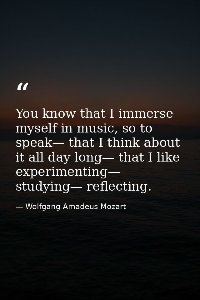 You know that I immerse myself in music, so to speak— that I think about it all day long— that I like experimenting— stu — Wolfgang Amadeus Mozart