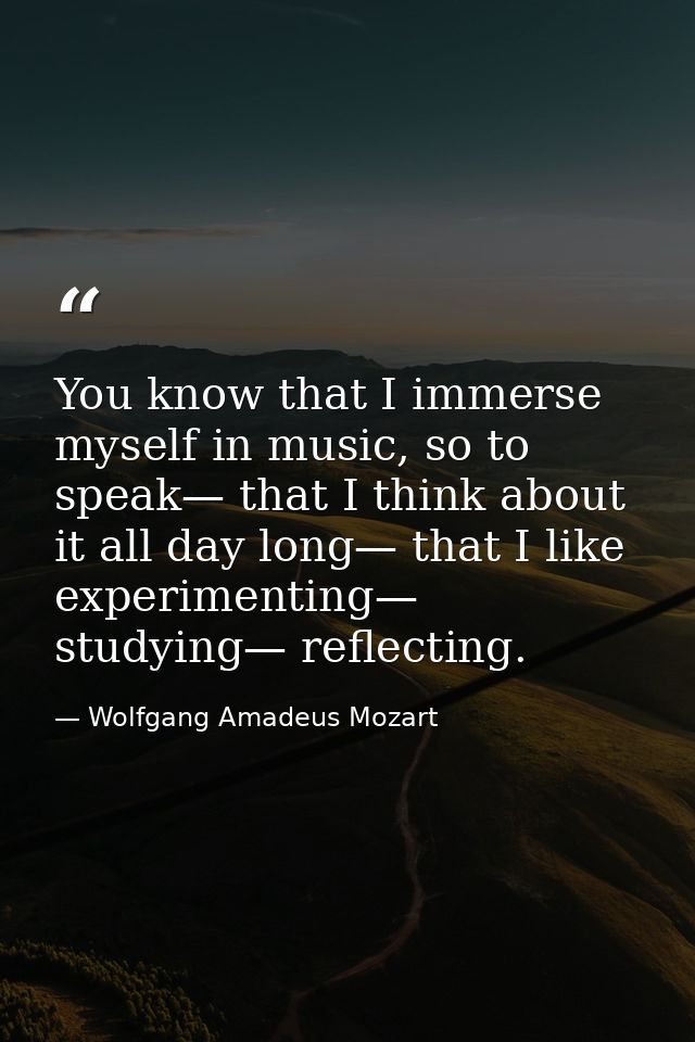 You know that I immerse myself in music, so to speak— that I think about it all day long— that I like experimenting— stu — Wolfgang Amadeus Mozart