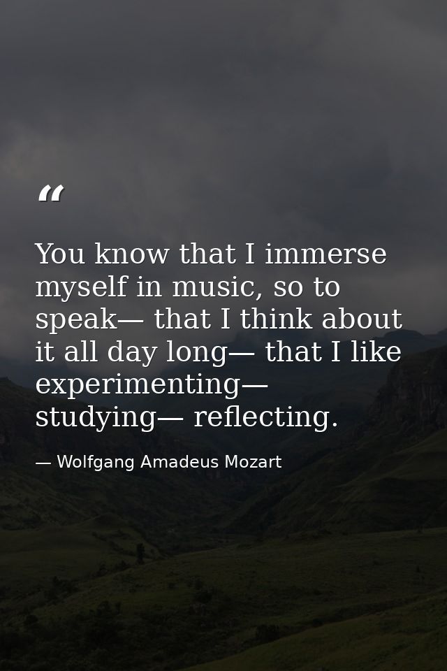 You know that I immerse myself in music, so to speak— that I think about it all day long— that I like experimenting— stu — Wolfgang Amadeus Mozart