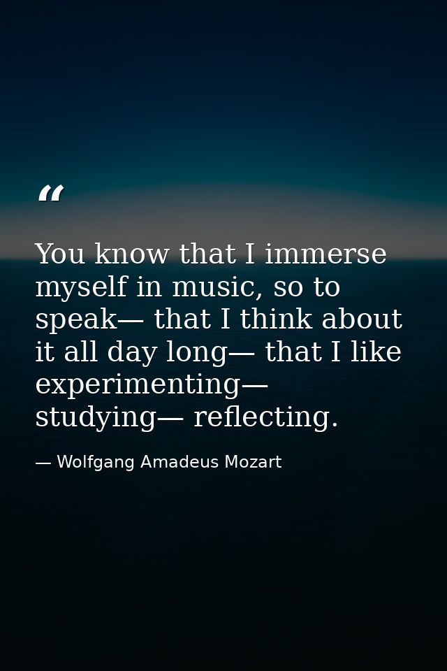You know that I immerse myself in music, so to speak— that I think about it all day long— that I like experimenting— stu — Wolfgang Amadeus Mozart