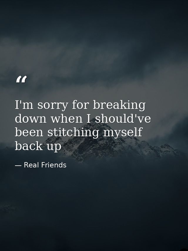 I'm sorry for breaking down when I should've been stitching myself back up — Real Friends