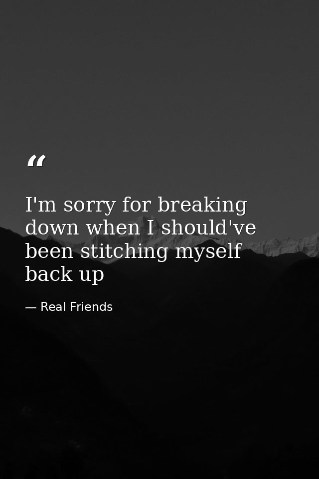 I'm sorry for breaking down when I should've been stitching myself back up — Real Friends