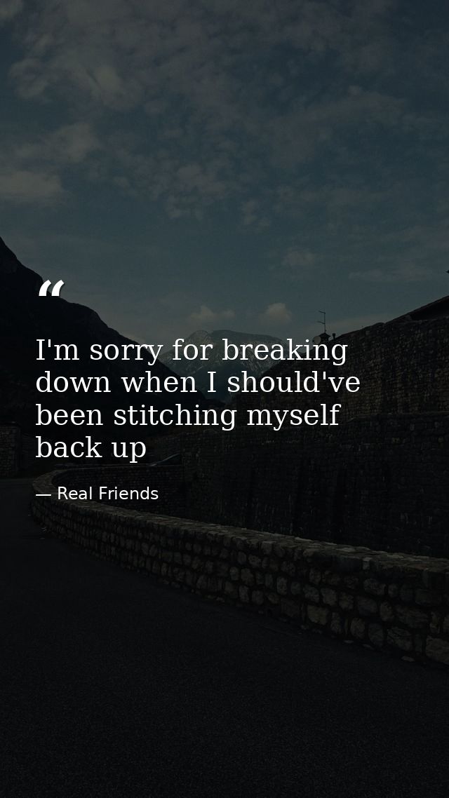 I'm sorry for breaking down when I should've been stitching myself back up — Real Friends