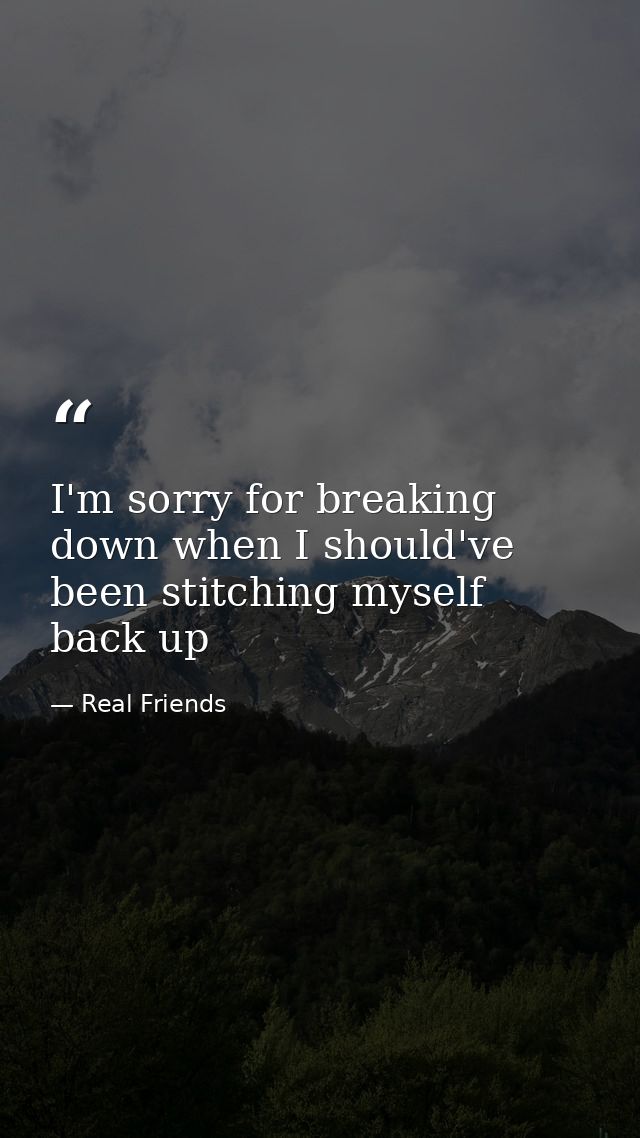 I'm sorry for breaking down when I should've been stitching myself back up — Real Friends