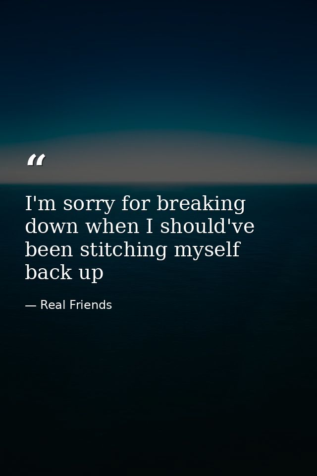 I'm sorry for breaking down when I should've been stitching myself back up — Real Friends