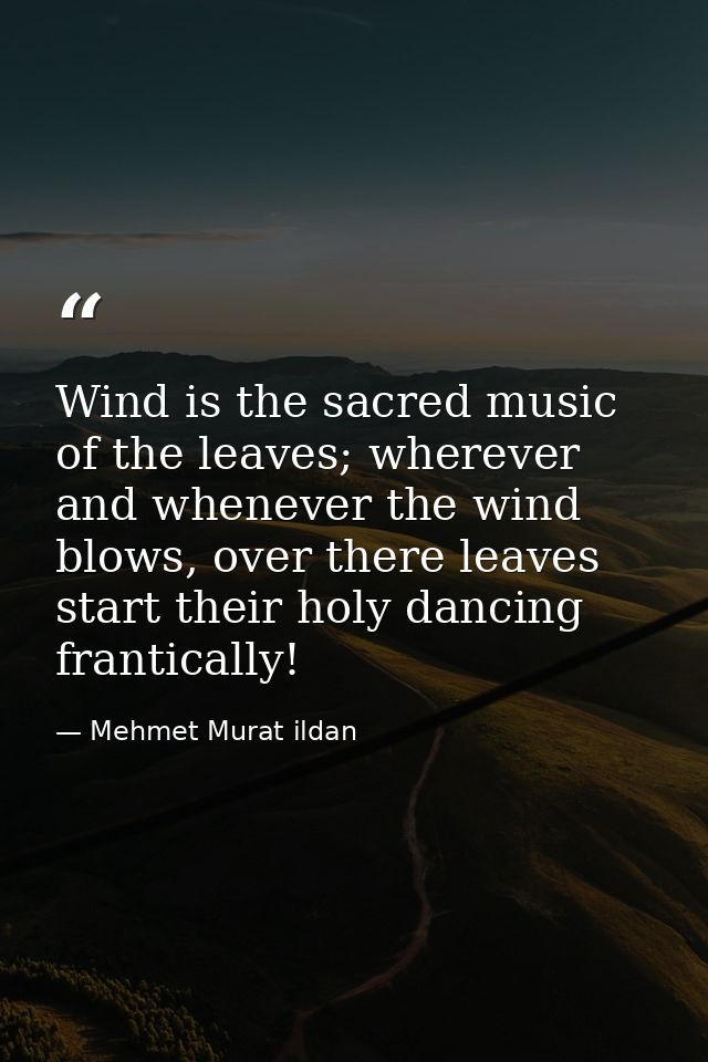 Wind is the sacred music of the leaves; wherever and whenever the wind blows, over there leaves start their holy dancing — Mehmet Murat ildan