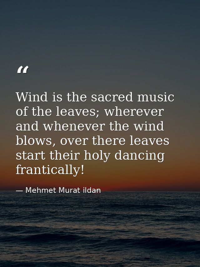 Wind is the sacred music of the leaves; wherever and whenever the wind blows, over there leaves start their holy dancing — Mehmet Murat ildan