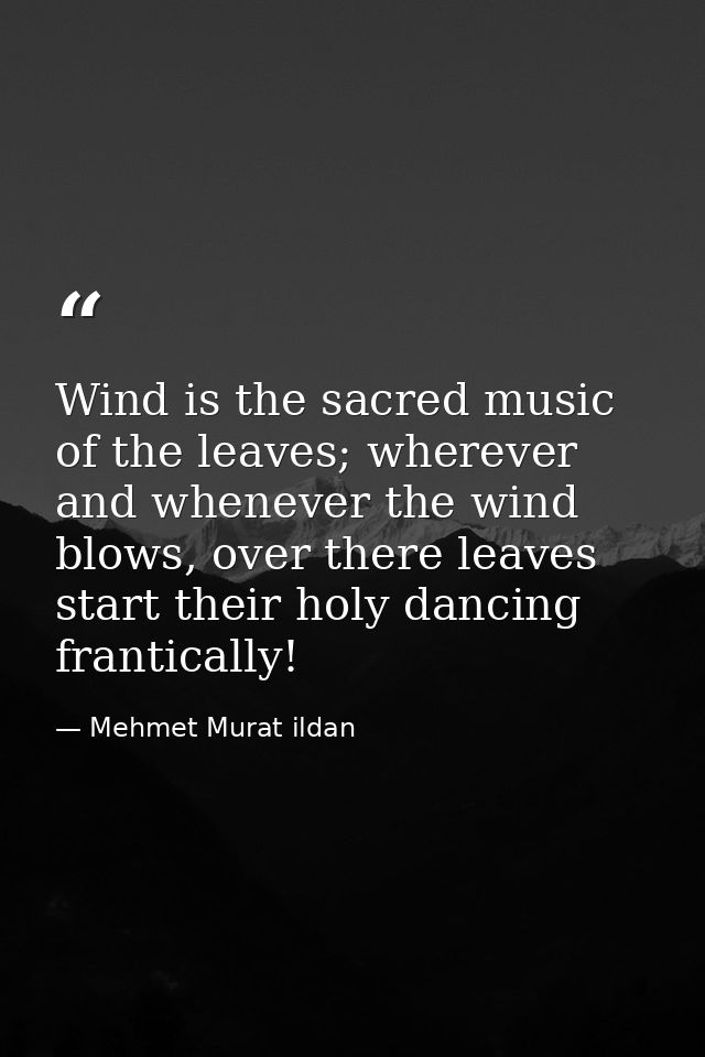Wind is the sacred music of the leaves; wherever and whenever the wind blows, over there leaves start their holy dancing — Mehmet Murat ildan