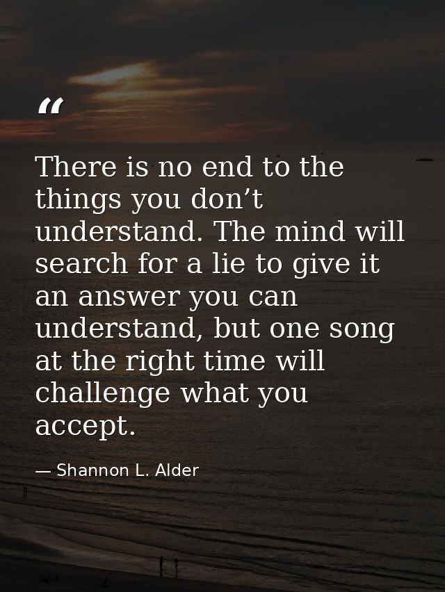 There is no end to the things you don’t understand. The mind will search for a lie to give it an answer you can understa — Shannon L. Alder
