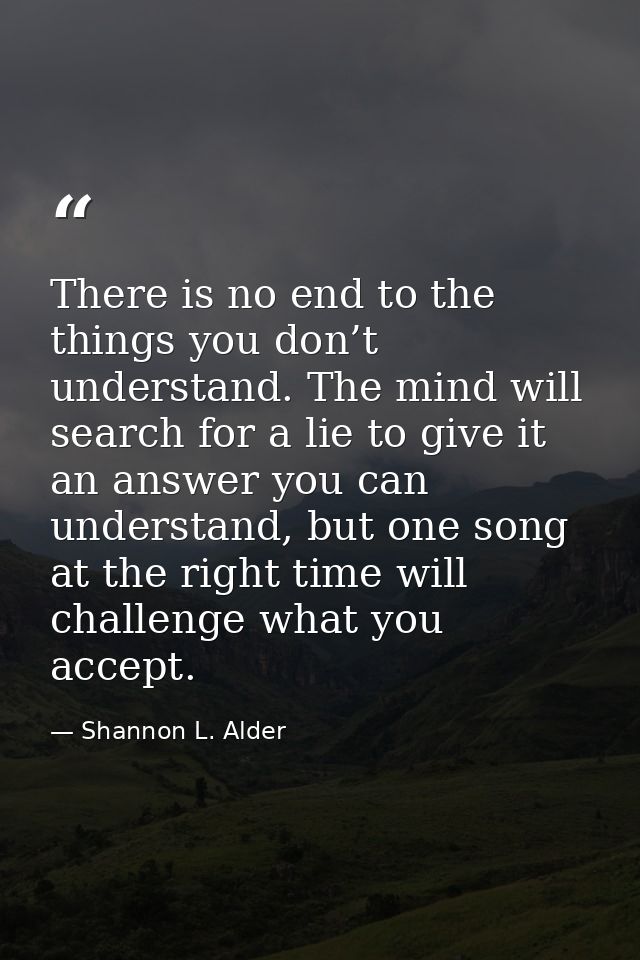 There is no end to the things you don’t understand. The mind will search for a lie to give it an answer you can understa — Shannon L. Alder