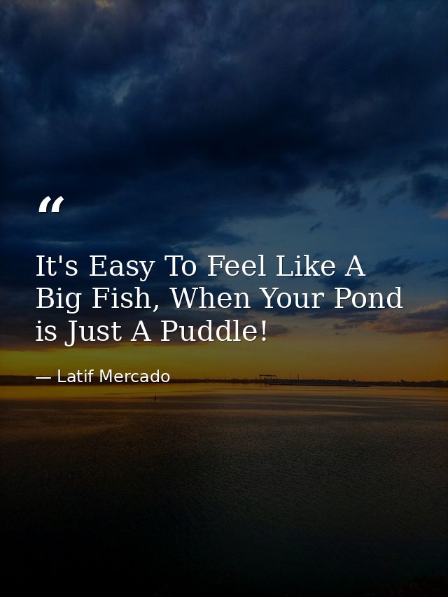 It's Easy To Feel Like A Big Fish, When Your Pond is Just A Puddle! — Latif Mercado