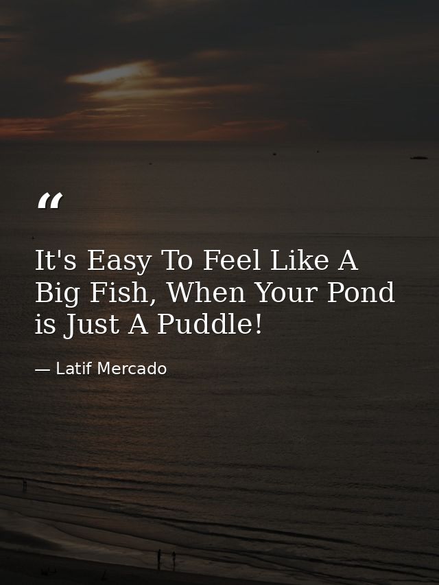 It's Easy To Feel Like A Big Fish, When Your Pond is Just A Puddle! — Latif Mercado