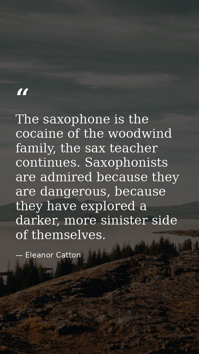 The saxophone is the cocaine of the woodwind family, the sax teacher continues. Saxophonists are admired because they ar — Eleanor Catton
