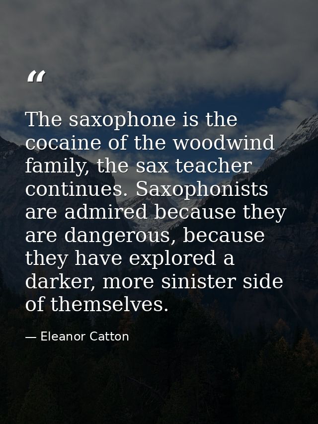 The saxophone is the cocaine of the woodwind family, the sax teacher continues. Saxophonists are admired because they ar — Eleanor Catton
