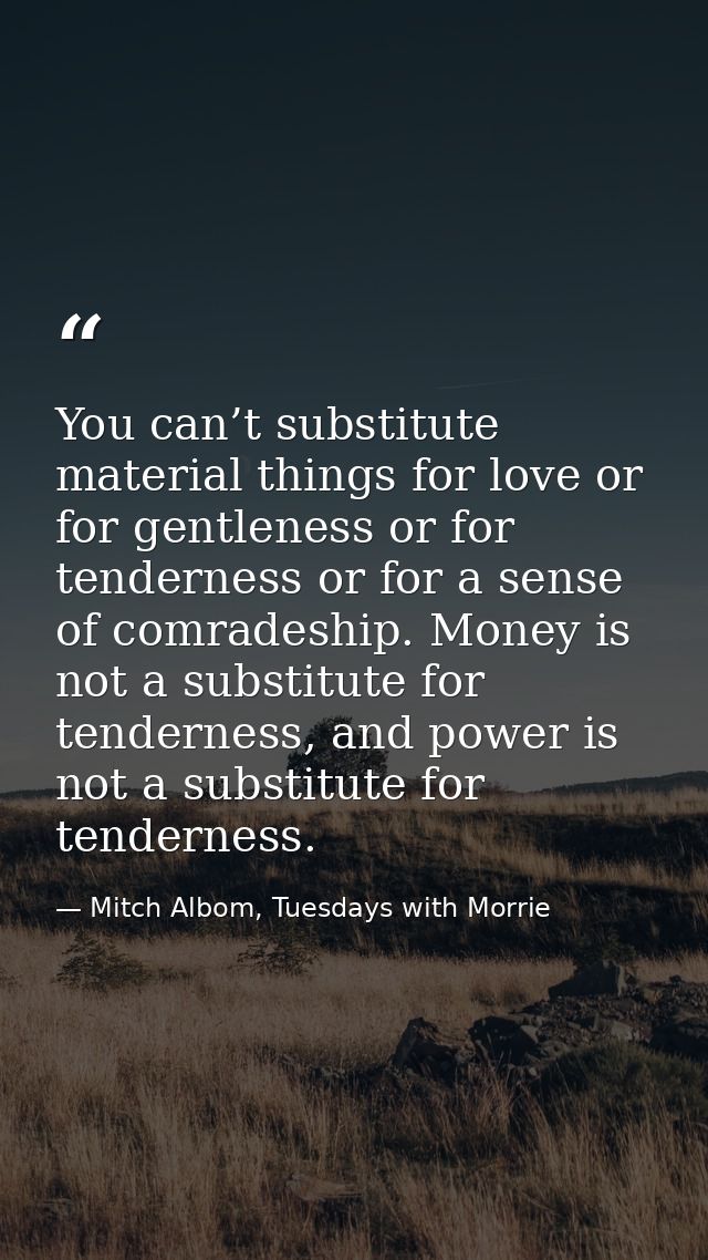 You can’t substitute material things for love or for gentleness or for tenderness or for a sense of comradeship. Money i — Mitch Albom, Tuesdays with Morrie