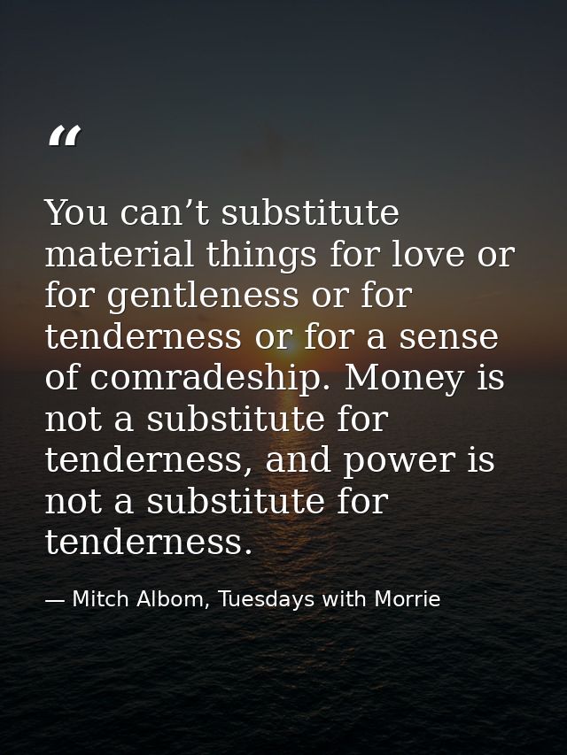 You can’t substitute material things for love or for gentleness or for tenderness or for a sense of comradeship. Money i — Mitch Albom, Tuesdays with Morrie