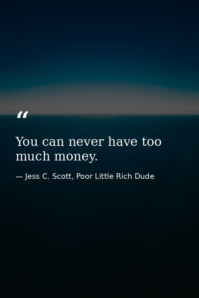 You can never have too much money. — Jess C. Scott, Poor Little Rich Dude