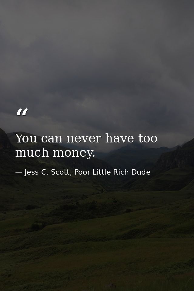 You can never have too much money. — Jess C. Scott, Poor Little Rich Dude