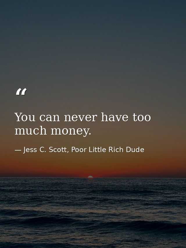 You can never have too much money. — Jess C. Scott, Poor Little Rich Dude