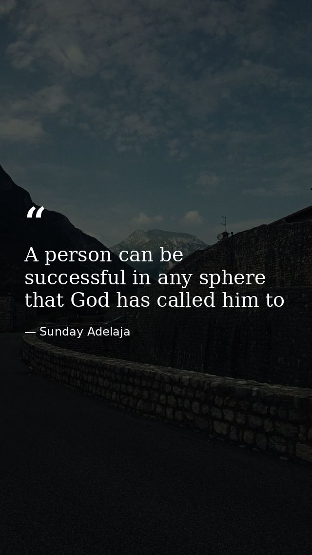 A person can be successful in any sphere that God has called him to — Sunday Adelaja