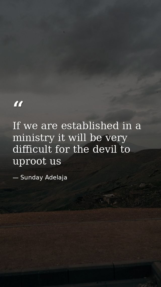 If we are established in a ministry it will be very difficult for the devil to uproot us — Sunday Adelaja