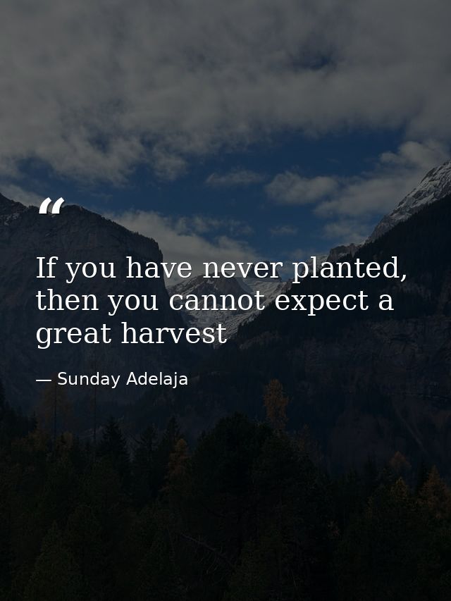 If you have never planted, then you cannot expect a great harvest — Sunday Adelaja