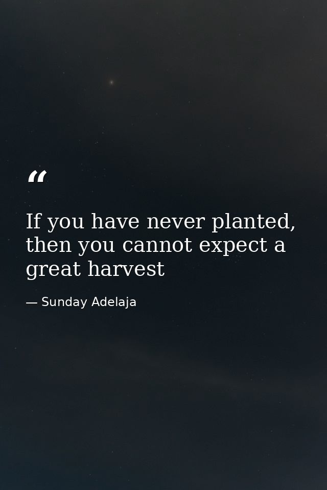 If you have never planted, then you cannot expect a great harvest — Sunday Adelaja