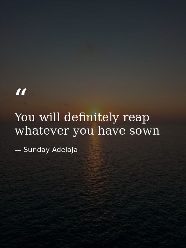 You will definitely reap whatever you have sown — Sunday Adelaja